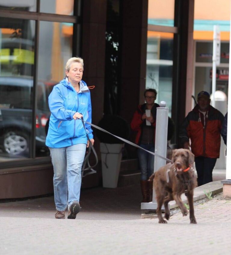 Mantrailing-Training an einem Gebäude: Hund nimmt die Spur an der Suchleine auf